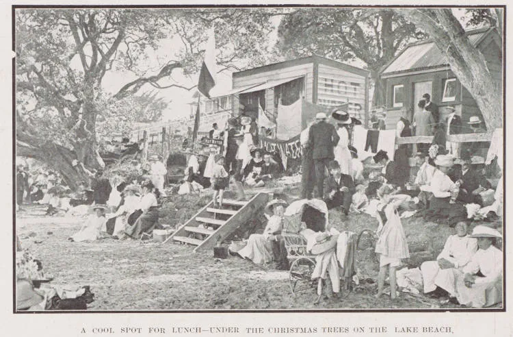 A cool spot for lunch under the Christmas tree on the Lake beach