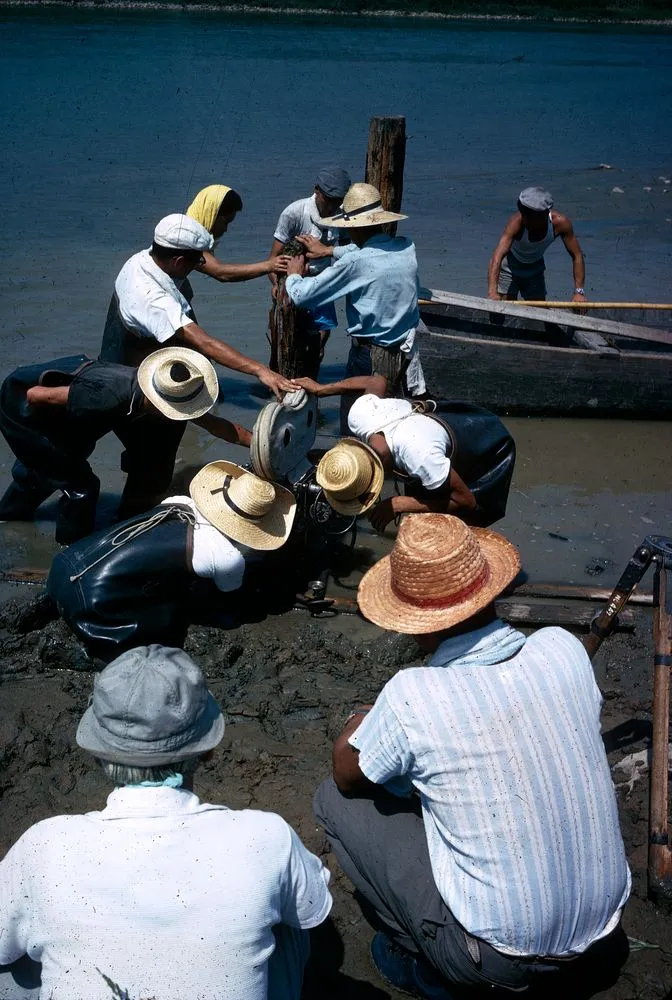 Japan Series: Movies Location