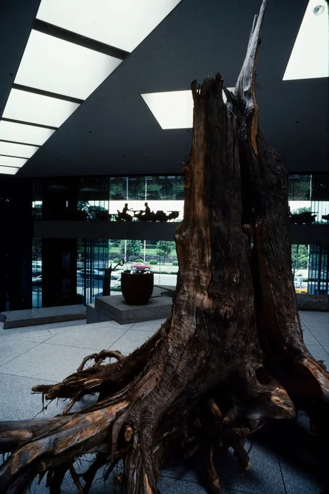 Japan Series: Hotel - Tokyo