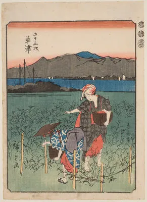 Two women picking tea