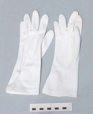 Gloves Image: Gloves