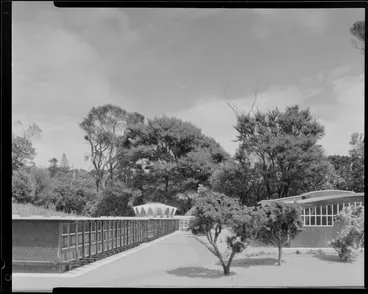Image: Architectural concept model of the proposed stage two build of the Forest Research Institute, Rotorua