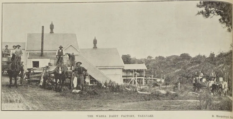 The Warea Dairy Factory, Taranaki