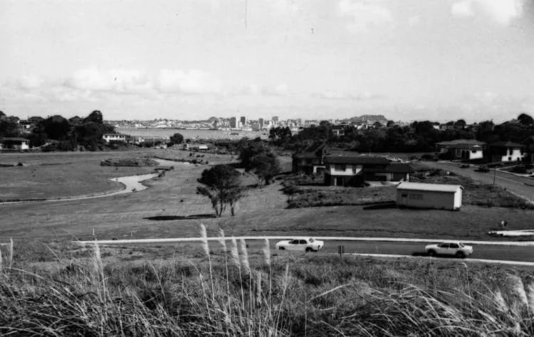 Views of Onepoto Domain.