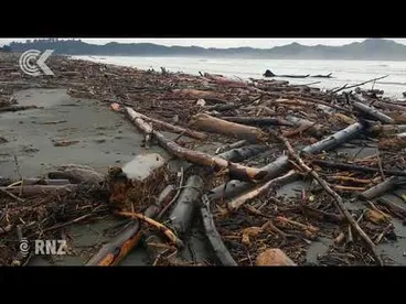 Image: GDC to investigate where Tologa Bay logging debris came from