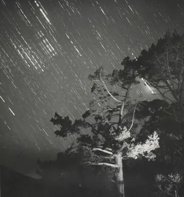 Image: Night sky, Waimamaku