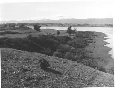 Lake Horowhenua Image: Lake Horowhenua