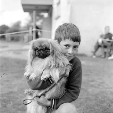 Image: Animal Rescue Dog Show.