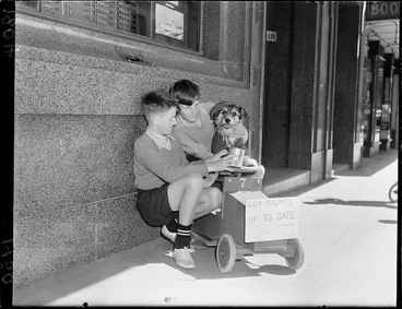 Image: Dog dressed up for Guy Fawkes celebrations