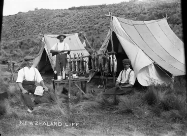 Image: Men at their camp site displaying a catch of rabbits and fish, 1909