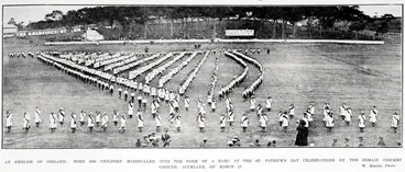 Image: An emblem of Ireland