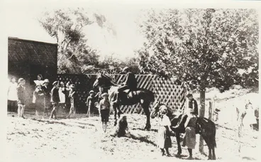 Image: Pakuranga School pupils and their horses