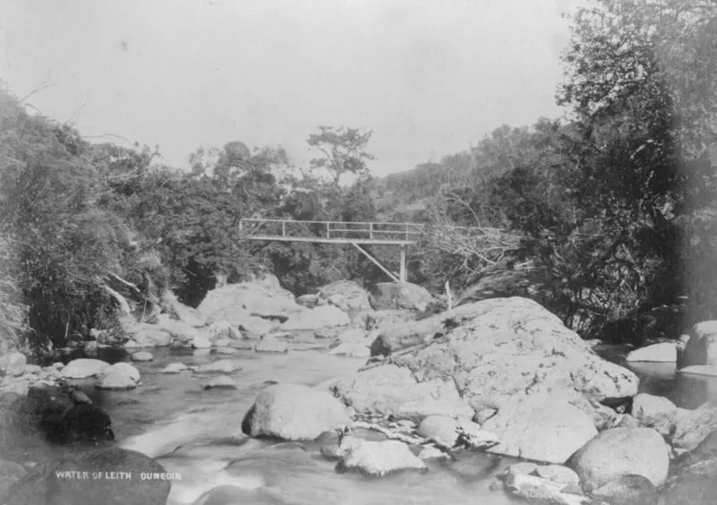 Water of Leith, Dunedin