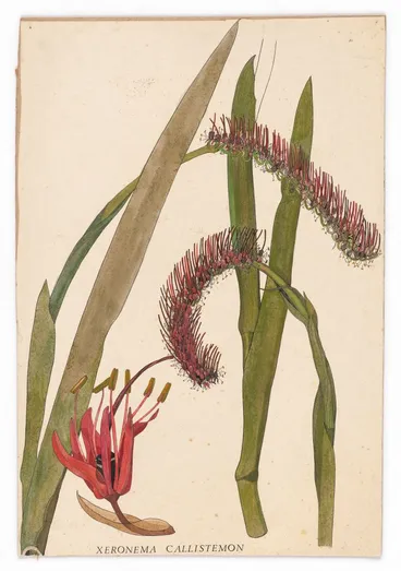 Image: Watercolour sketch