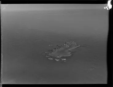 Image: Dog Island, Bluff