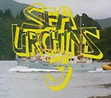 Sea Urchins