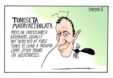 Image: Parsons, Alex, fl 2013: Tonyseta Marryatteolata. 2012