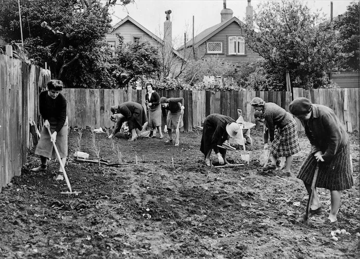 Women planting a garden in Wellington, during World War II