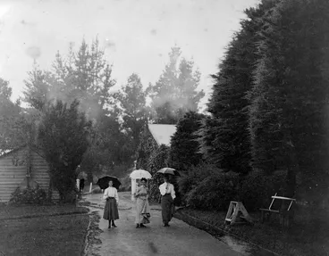 Image: Wairakei Hotel grounds