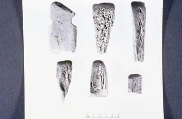 Image: Bone tools found at Kaupokonui beach