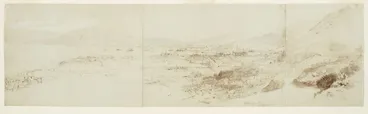 Image: Wellington, N.Z. (from Wadestown Road)