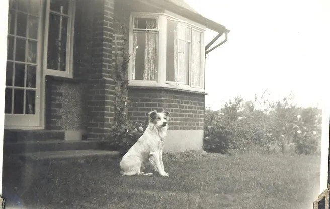 Kingbury Collection - Photos from an album.