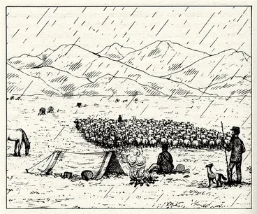 Image: Droving sheep