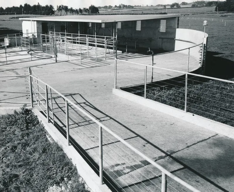 Vibrapac Blocks Ltd: 1966 Waikato - typical small herringbone milking shed