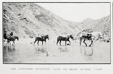 The packhorses journeying along the upper Awatere Valley Image: The packhorses journeying along the upper Awatere Valley