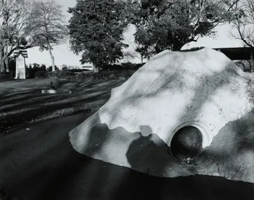 Image: Wanganui park