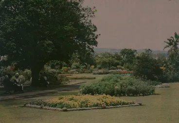 Image: In the Domain Gardens