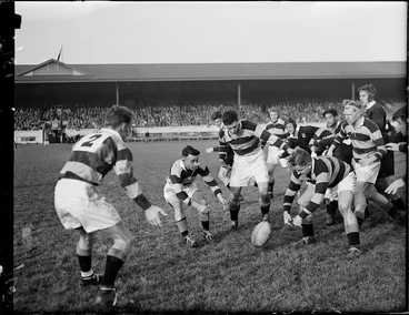 Image: Wellington versus University rugby game