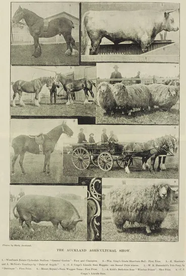 Image: The Auckland Agricultural Show