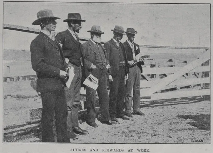 Judges and stewards at work