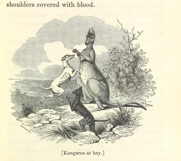 Image: British Library digitised image from page 165 of "Savage Life and Scenes in Australia and New Zealand: being an artist's impressions of countries and people at the Antipodes. With numerous illustrations"