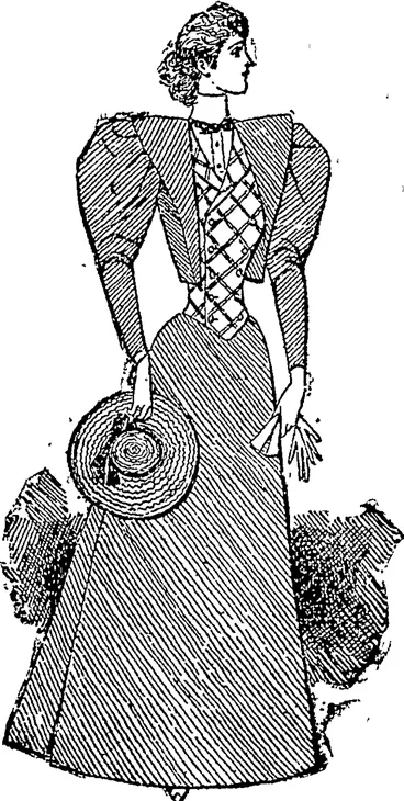 Image: A Serviceable Costume, (Auckland Star, 03 November 1894)