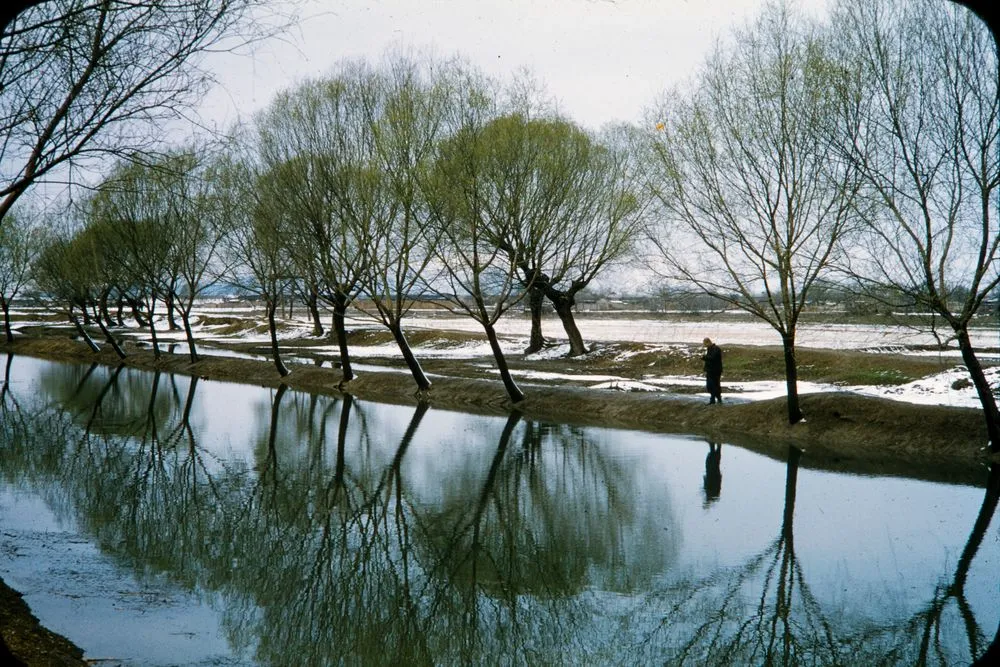 China Series: Peking Arriving Spring