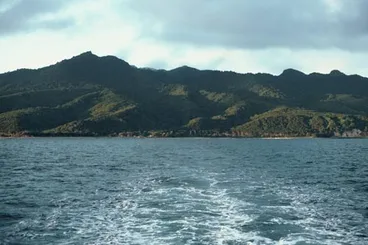 Image: Hauturu (Little Barrier Island)