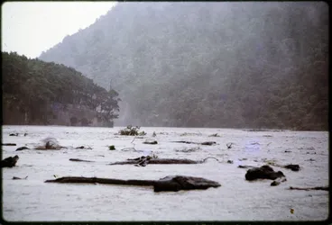 Image: Orongorongo River in flood