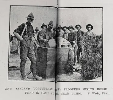 Image: New Zealand volunteers in Egypt
