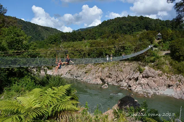 Buller Gorge Swingbridge
