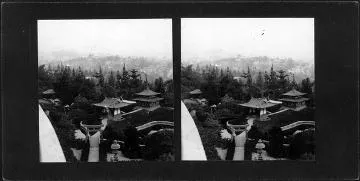 "Miniature Japanese Garden, Beverly Hills" : Stereograph