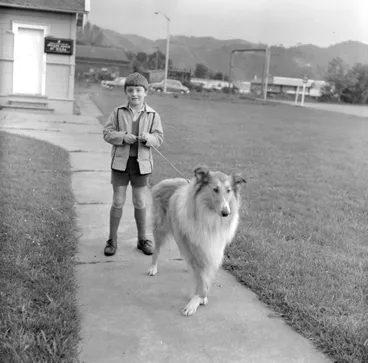 Image: Boy and collie