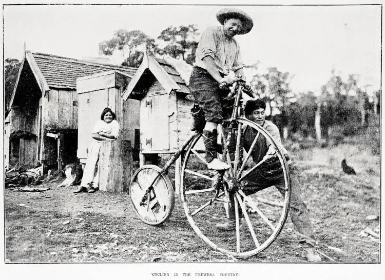 Cycling in the Urewera country