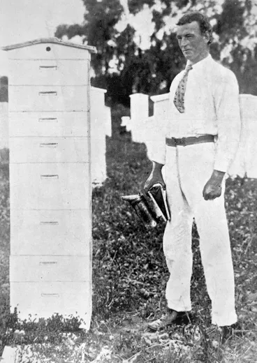 Image: Beekeeper with a hive nearly as high as himself