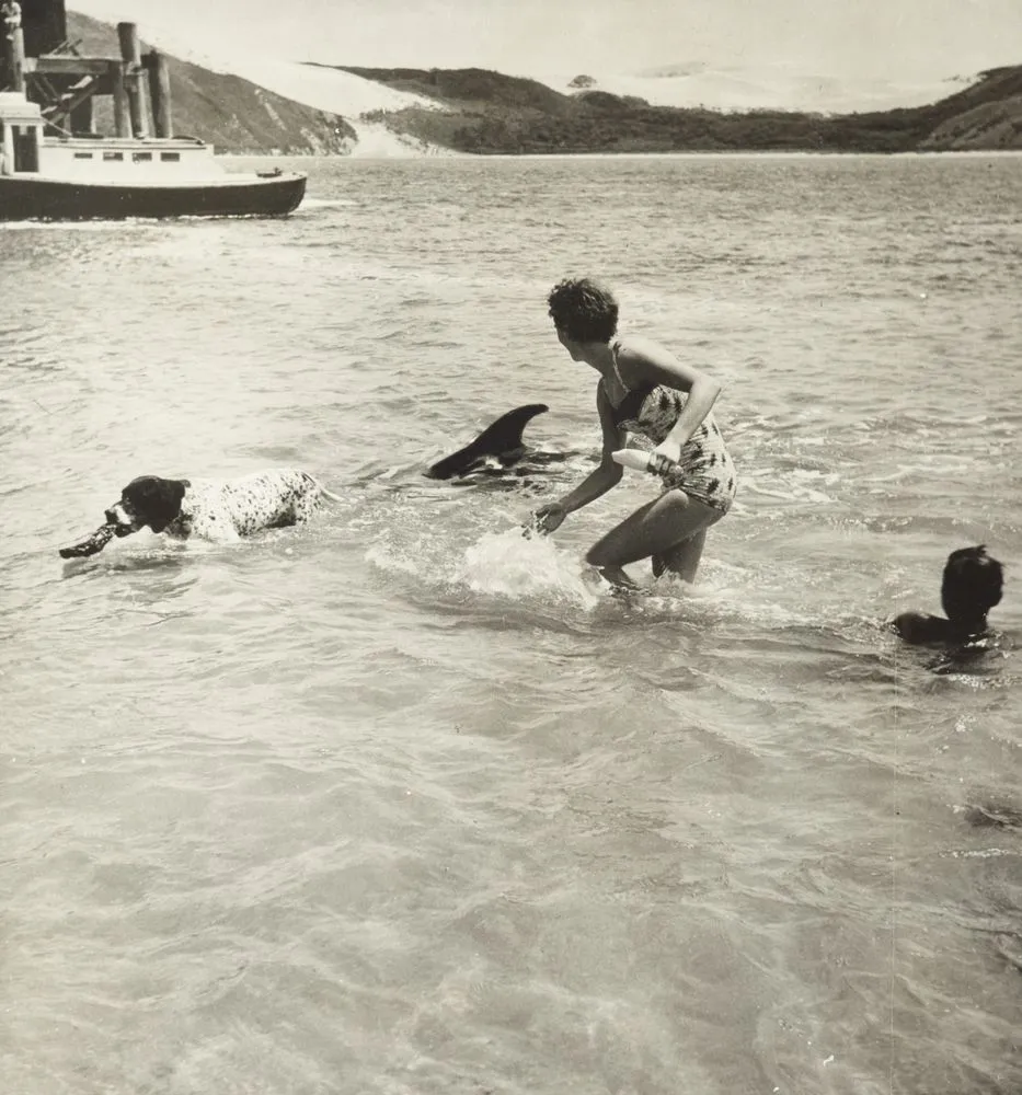 Opo the dolphin, Opononi