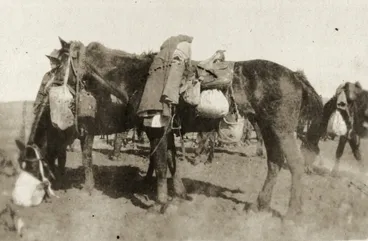 Image: Sinai & Palestine