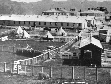 Somes Island quarantine station Image: Somes Island quarantine station
