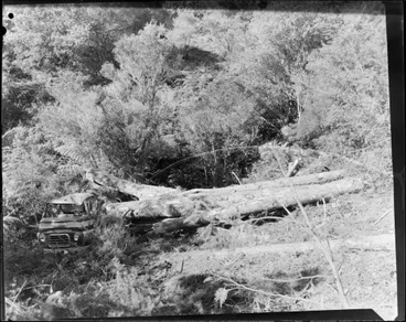 Image: Truck over bank, Kaimais