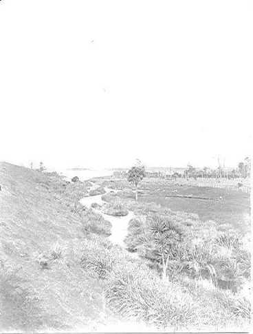 Lake Horowhenua and the Hokio Stream Image: Lake Horowhenua and the Hokio Stream